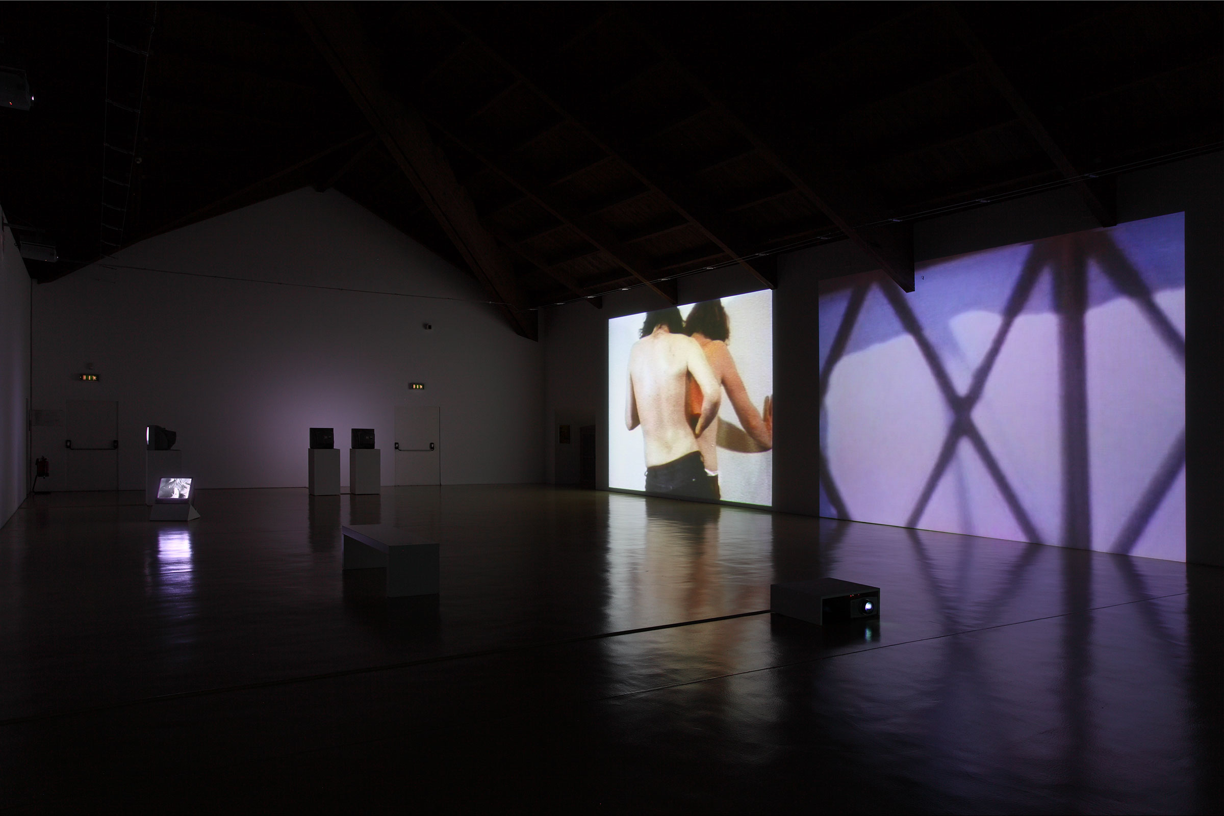 u0022Vito Acconci: u0027Film=Landscape, Video=Close-Upu0027u0022, installation view